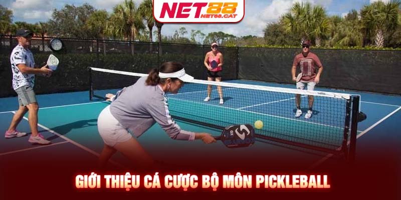 Giới thiệu cập nhật cá cược bộ môn Pickleball